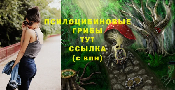 2c-b Алексин