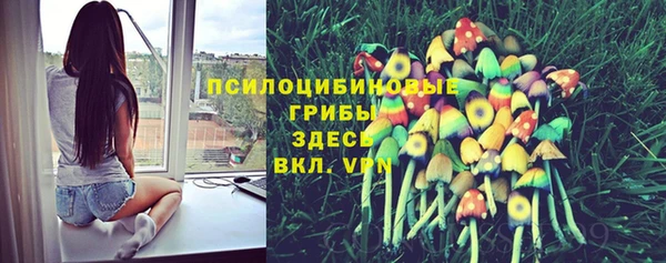 марки nbome Алзамай