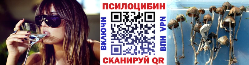 hydra ONION Черкесск Псилоцибиновые грибы ЛСД