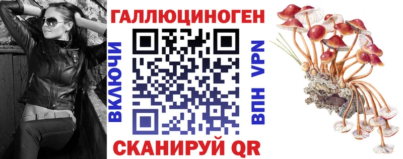 Галлюциногенные грибы Psilocybine cubensis Черкесск