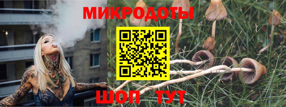 Псилоцибиновые грибы Psilocybe Черкесск