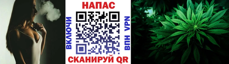 наркошоп  Черкесск  Марихуана ГИДРОПОН 